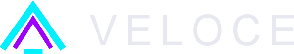 Veloce Systems technology identity